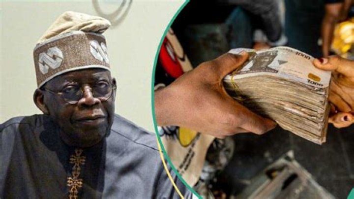 Apply: FG Sets Date Students Can Start Submitting Loan Application, 5 Categories of People Banned