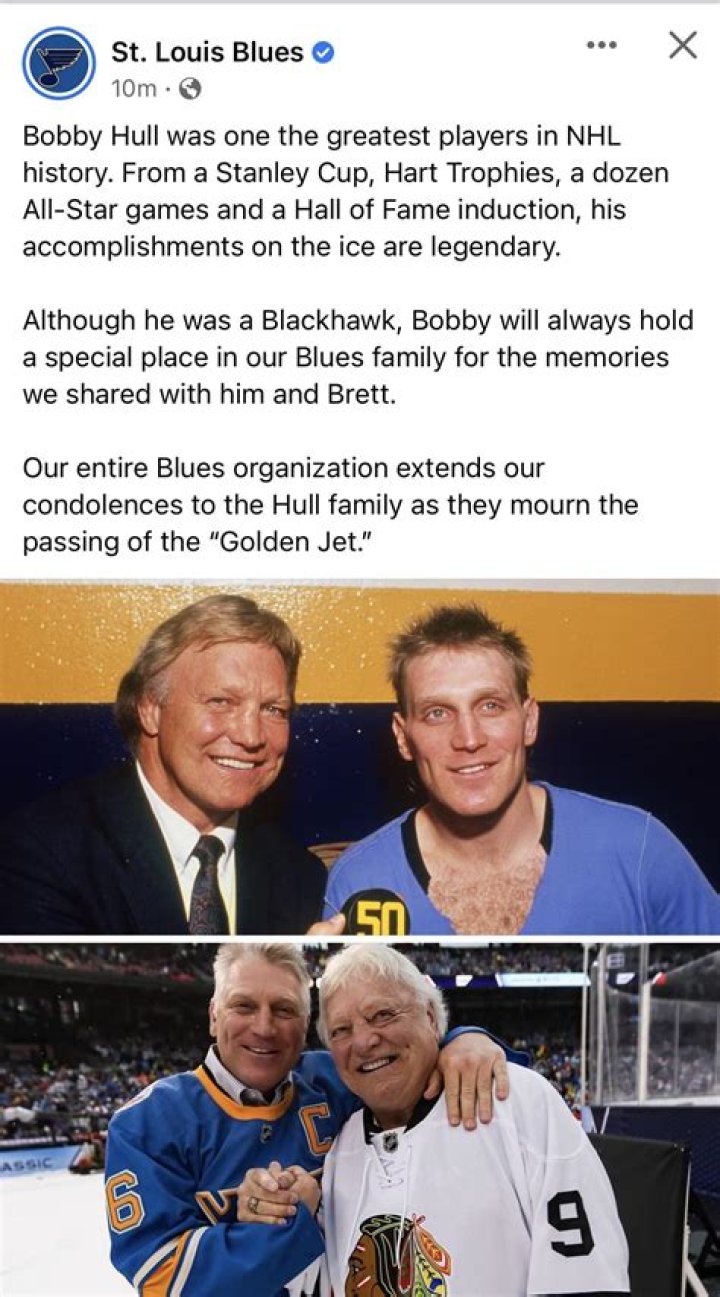 Are Bobby Hull And Brett Hull Related As A Father Son? Family Tree And Net Worth