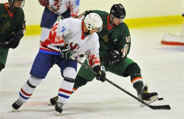 Bob Schneider Net Worth