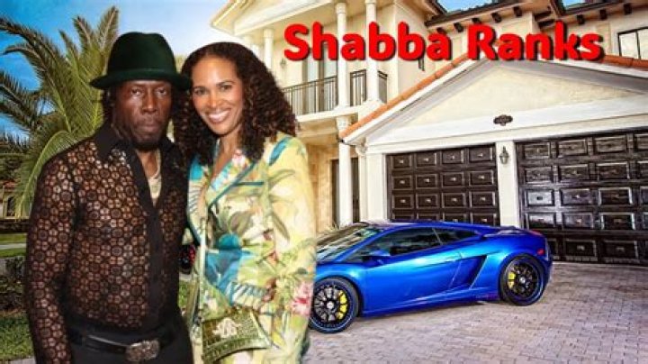 Dan Shaba Net Worth