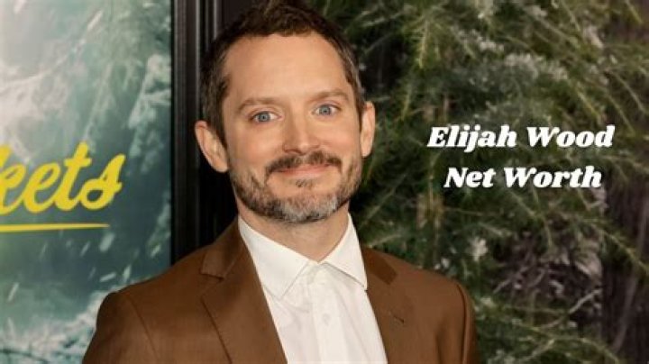 Elijah Wood Net Worth – How Much is Wood Worth?