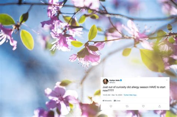 First Day of Spring Memes About the Season Changing