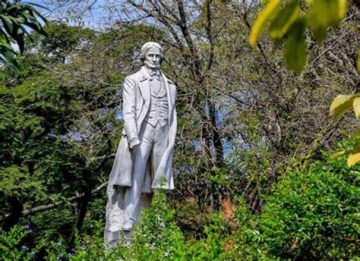 Francisco Zea Net Worth