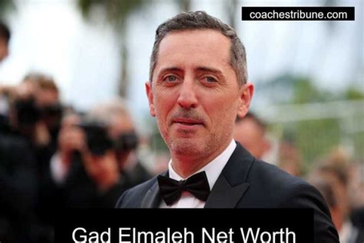 Gad Elmaleh Net Worth