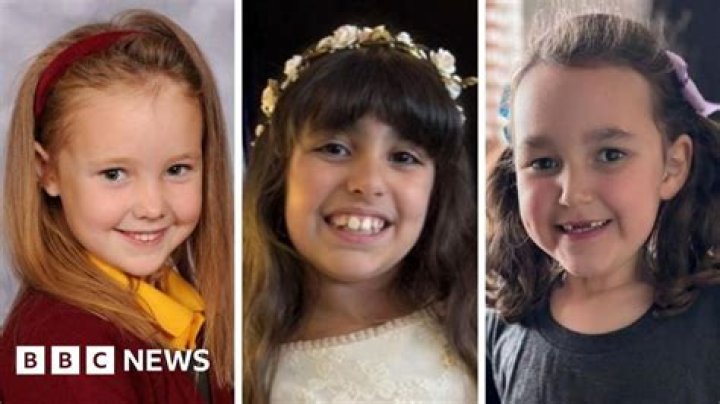 I Hope It's Wig and Just For Cruise: Video of 2 Little Girls With Floor Length Purple Braids Spark Reactions