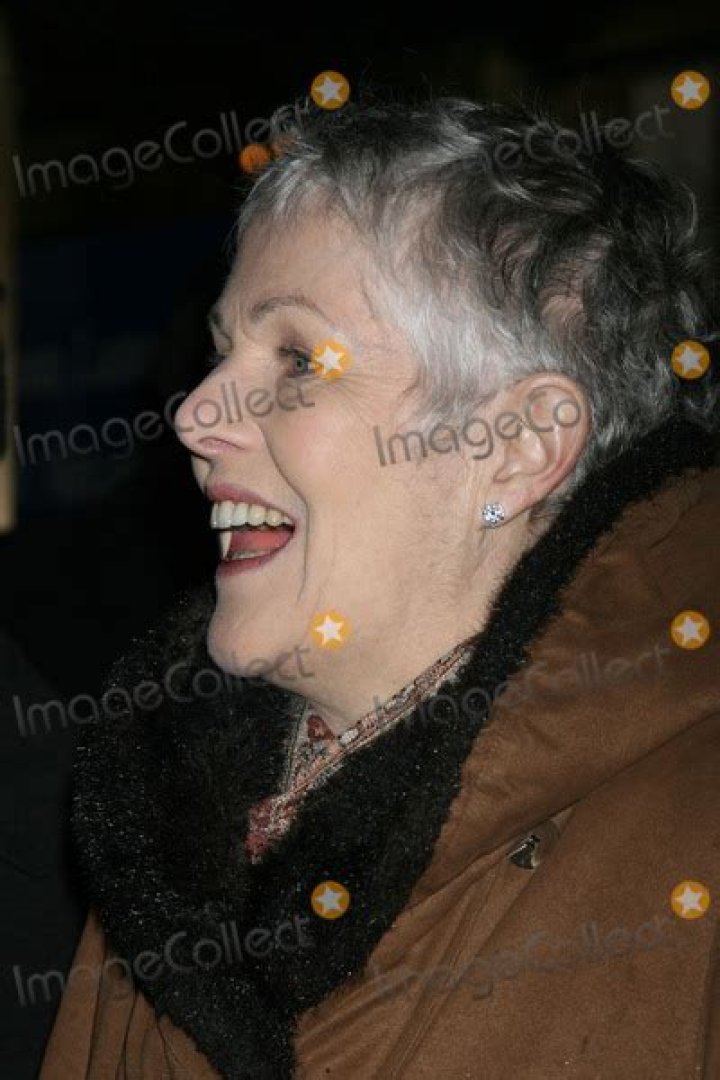 Lynn Mamet Net Worth