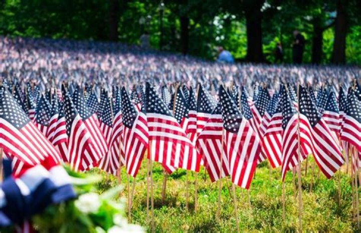 Memorial Day vs. Veterans Day — What's the Difference?