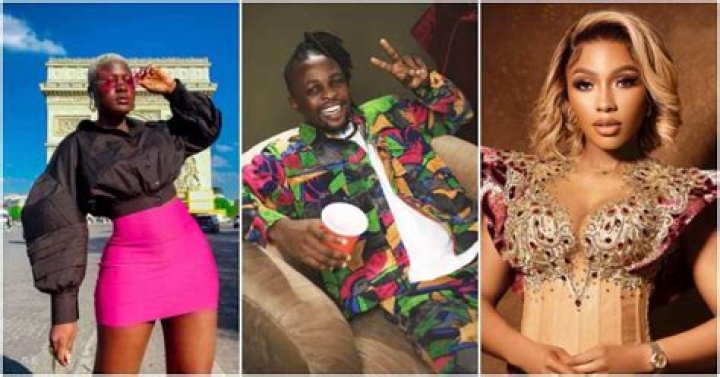 Mercy Eke, Laycon and 7 Other BBN Stars With Highest Followers on Instagram