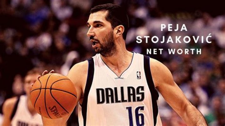 Peja Stojakovic Net Worth 2024