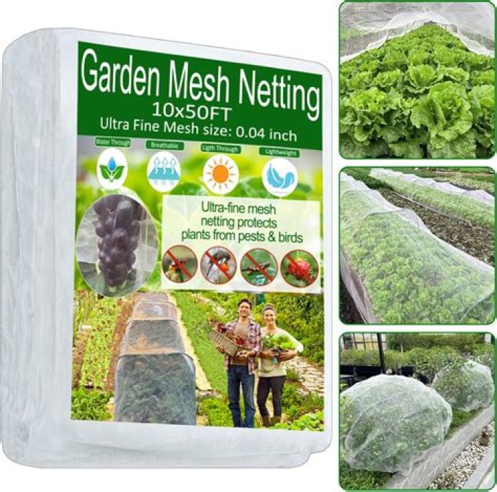 Shine with Plants Net Worth