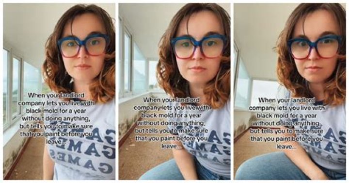 This Landlord Told a Tenant to Paint Over Black Mold