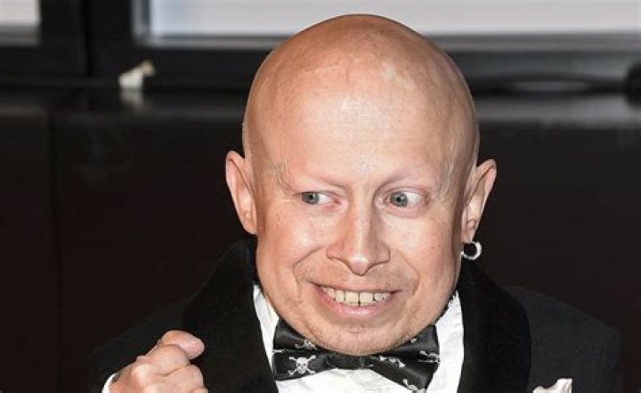 Verne Troyer Net Worth
