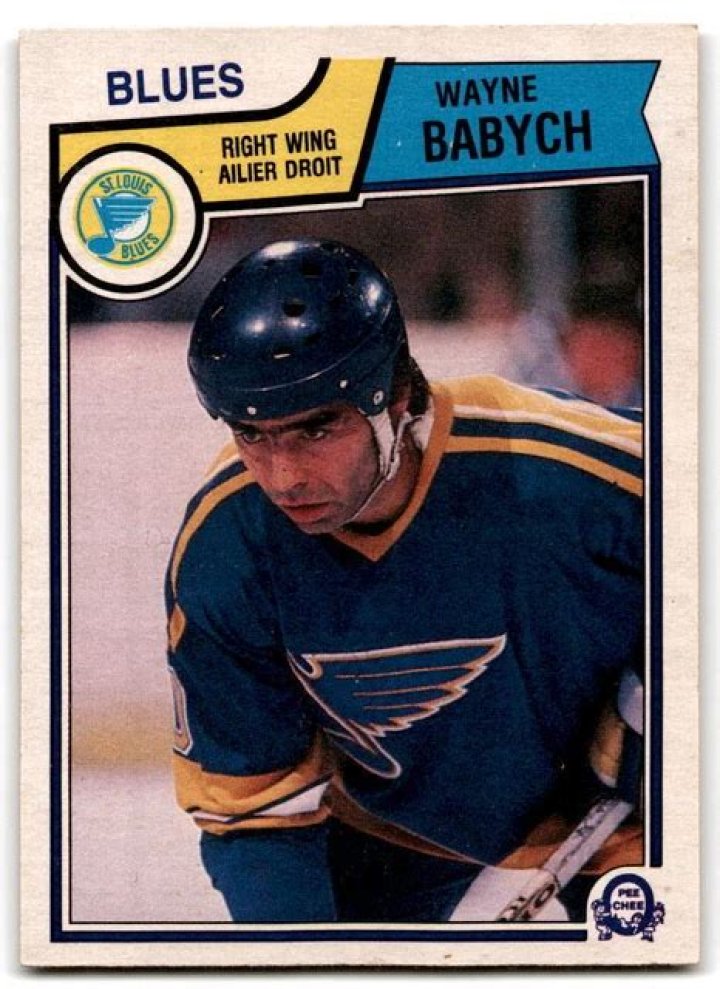 Wayne Babych Net Worth