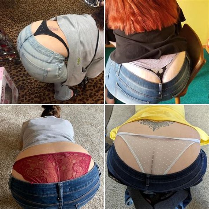 Whale Tail Forum – List of Whale Tail Discussions and Forums