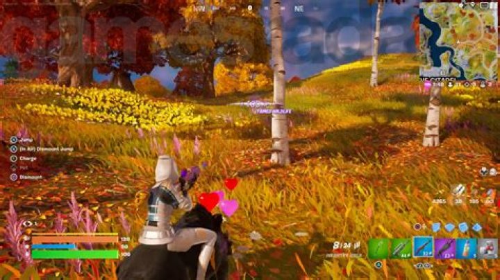 What Does Mounted Mean in 'Fortnite'?