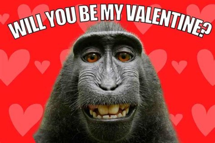 Will You Be My Valentine Memes and Fun Photos